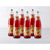 6 Gingerito bibita con estratto di zenzero dello Sri Lanka