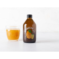 Kombucha mango e maracuja BIO