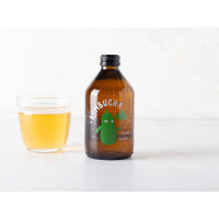Kombucha cetriolo e coriandolo BIO