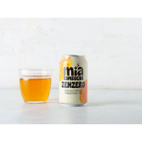 Kombucha zenzero