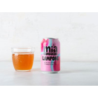 Kombucha lampone