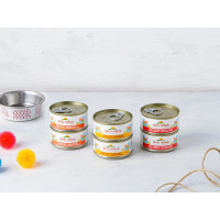 6 Filetti per gatto con pollo assortito