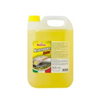 SHAMPPO AUTO CONCENTRATO 5l