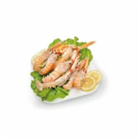 Scampi 31/40