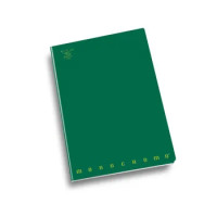 MAXI QUADERNO MONOCROMO RIGHE 1 CM CON MARGINE C