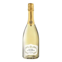 Blanc de Blancs Extra Dry Spumante Metodo Charmat 0,75 lt