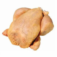 Fior Di Scelta Busto Di Pollo Da Banco