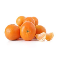 CLEMENTINE SFUSE