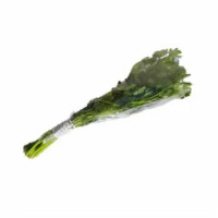 Magnani Prezzemolo Mazzetto 100g