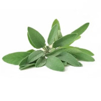 Salvia Confezione 40g
