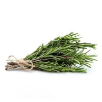 Rosmarino