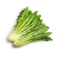 Catalogna Sfusa