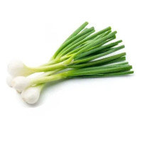 Cipollotti Sfusi