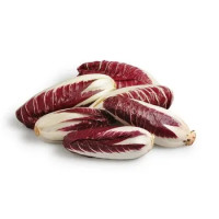 Radicchio Lungo
