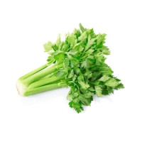 Sedano Verde Sfuso