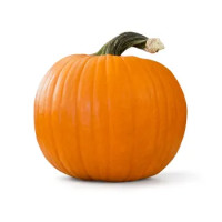 Zucche Ornamentali