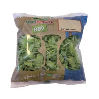Lattughino Bio 125g