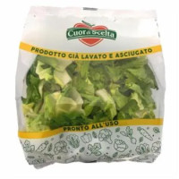 Ortopronto Cuori Di Scarola
