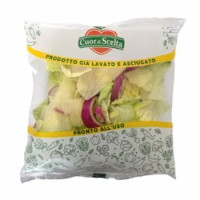 Cuor di Scelta Insalata Iceberg con Cipolla 200g