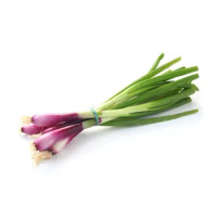 CIPOLLOTTI ROSSI 250G. TROPEA IGP