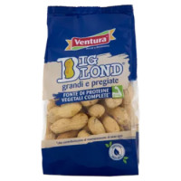 Ventura Big Blond Arachidi