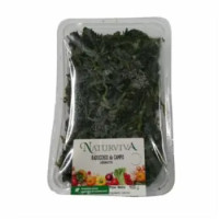 Naturviva Radicchio da Campo Lessato 400g