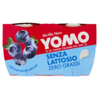 Yomo Senza Lattosio Zero Grassi Mirtillo Nero 2 x 125 g