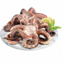 Tentacoli Di Totano Gigante Da Banco