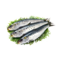 Sarde