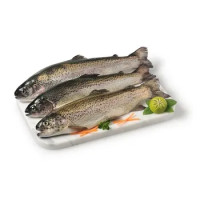 Trota Salmonata