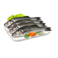 Branzino Estero 3/6 Allevato