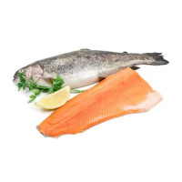 Trota Iridea Salmonata