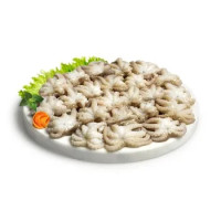 Polipetti