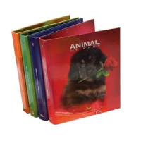 Copertine 4 Anelli Maxi