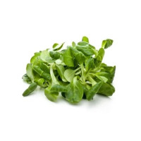 Insal'Arte Valerianella 100 g