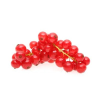 Ribes Rosso It I^ Vh 