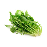 Cicoria Spigata (tipo Barese)
