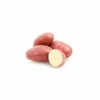 Patata Robertina Rossa Kg 2