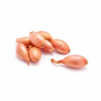 Alcenero Bio Scalogno Gr 150