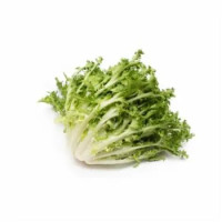 Scarola Riccia Al Kg