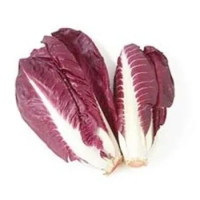 Radicchio Lungo