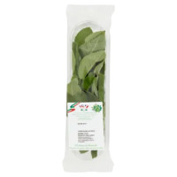 Gli Aromi Di Armando Salvia 30 g