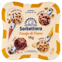 Sorbettiera Gusti Variegati Panna Cotta - Cacao - Crema - Nocciola 1 Kg