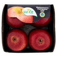 Aop Luce Melannurca Campana IGP 500 g