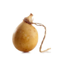 Caciocavallo Affinato Montepulciano - Cordisco
