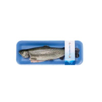 Trote Salmonate