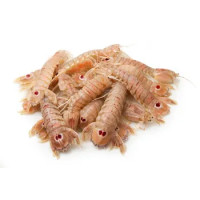 Pannocchie