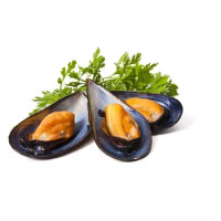 Cozze Mezzo Guscio Grammi 300