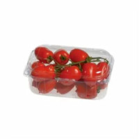 Pomodoro Piccadilly Gr.500