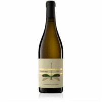 Giannicola Di Carlo Terreum91 Passerina Terre Di Chieti Igp 75 Cl